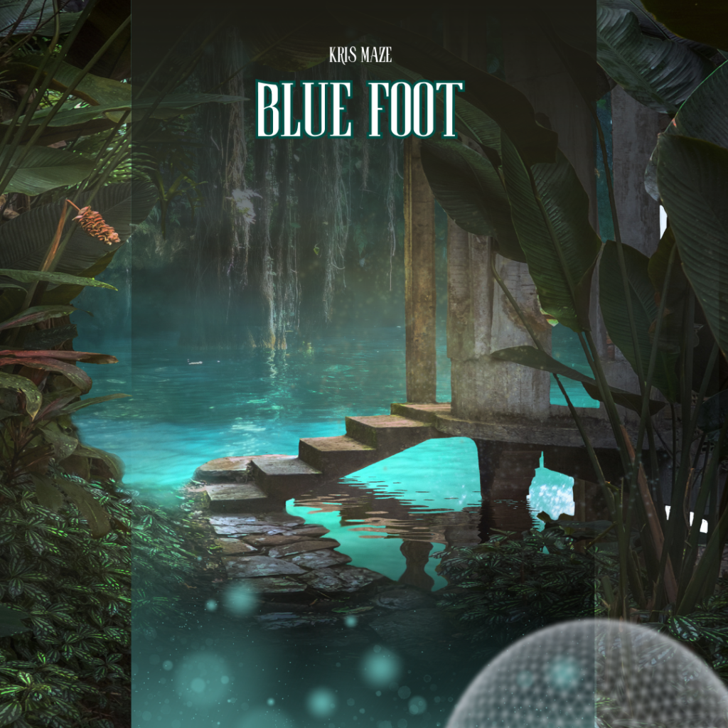 Blue Foot ebook cover Instagram