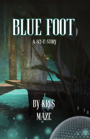 Blue Foot book cover