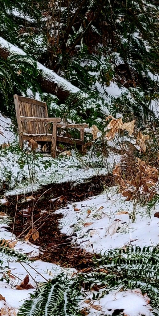 wooden bench under snow near a brook