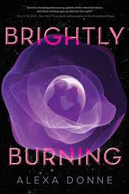 Kid Lit Book Review Corner – Burning Brightly